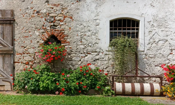 外面是一座用植物和花卉装饰的古老的传统乡村建筑 — 图库照片