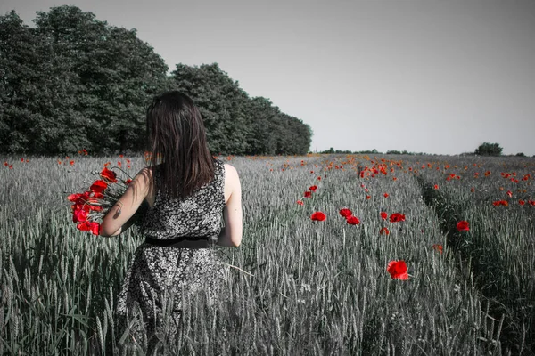 Girl Bouquet Red Poppies Blue Sky Field Poppies Wheat — Stock Photo, Image