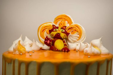 Doğum günü pastası ile a kedi