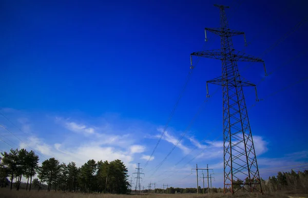 Línea Eléctrica Través Del Distrito Forestal — Foto de Stock