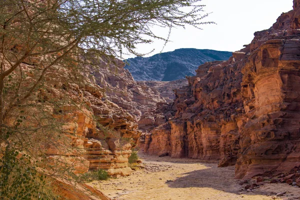 Farbige Schlucht Ägypten — Stockfoto