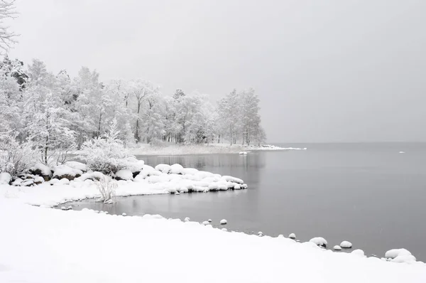 Paisaje Invernal Nieve Recién Caída Cubriendo Orilla Del Lago Árboles —  Fotos de Stock