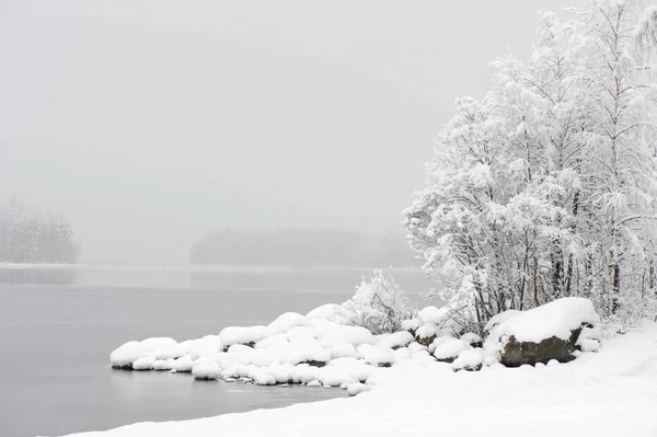 Zimní Krajina Nově Napadaného Sněhu Pokrývající Lake Shore Skály Stromy — Stock fotografie