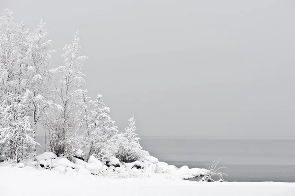 冬の風景 積もる雪湖岸の岩や木をカバー — ストック写真