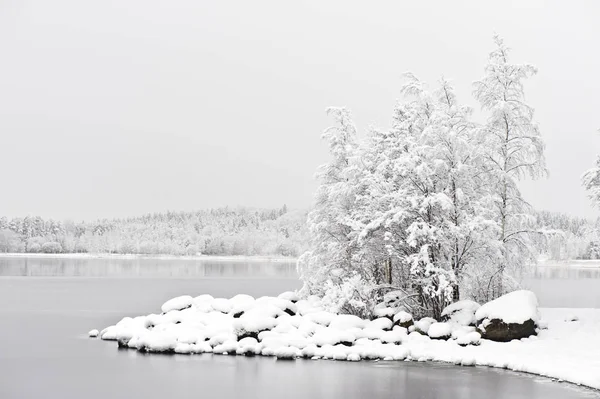 Zimní Krajina Nově Napadaného Sněhu Pokrývající Lake Shore Skály Stromy — Stock fotografie