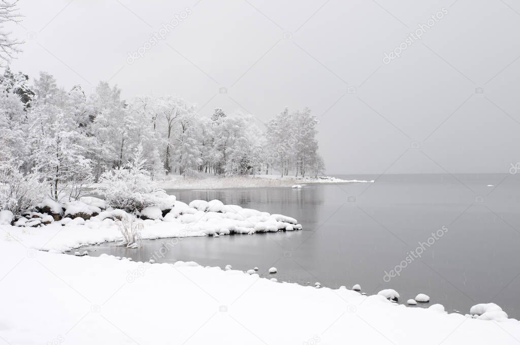 Winter landscape. Newly fallen snow covering lake shore and trees.