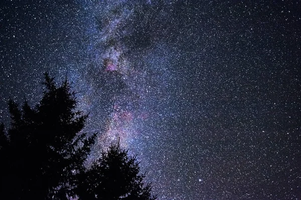 Vía Láctea Constelación Cygnus —  Fotos de Stock