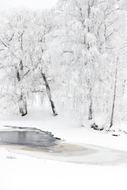 Ağaçlar nehir üzerinde kış nehir manzarası frost ile kaplı.