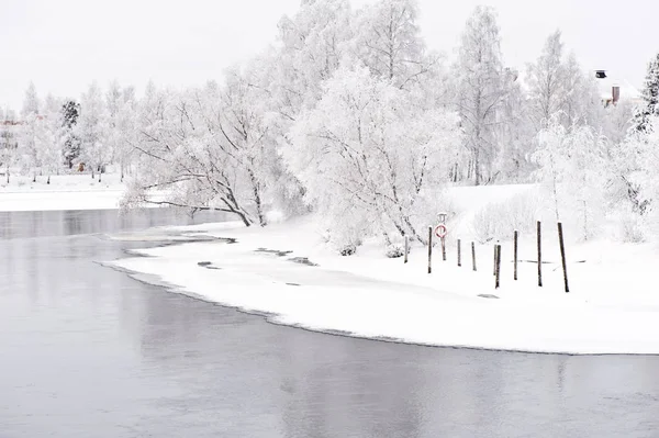 Paisaje Del Río Invierno Con Árboles Cubiertos Heladas Orilla Del —  Fotos de Stock