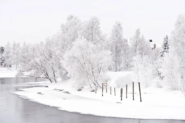 Zimní Řeka Scenérii Mrazem Zahrnuty Stromy Břehu — Stock fotografie