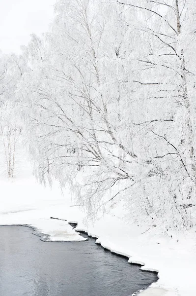 Paisaje Del Río Invierno Con Árboles Cubiertos Heladas Orilla Del —  Fotos de Stock