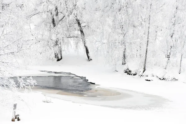 Paisaje Del Río Invierno Con Árboles Cubiertos Heladas Orilla Del —  Fotos de Stock