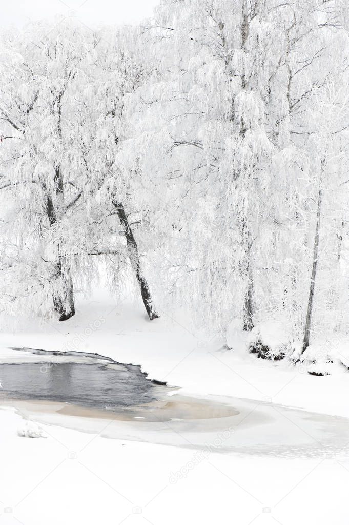 Winter river scenery with frost covered trees on riverbank.