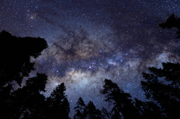 Mléčná Dráha Nad Vrcholky Stromů Lesů — Stock fotografie