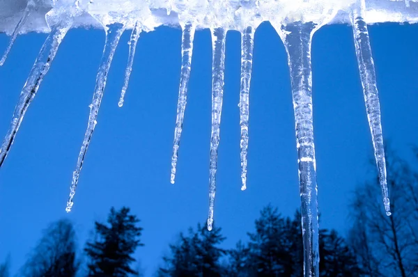 Ледяные Сосульки Свисающие Канавы Фоне Деревьев Голубого Неба — стоковое фото