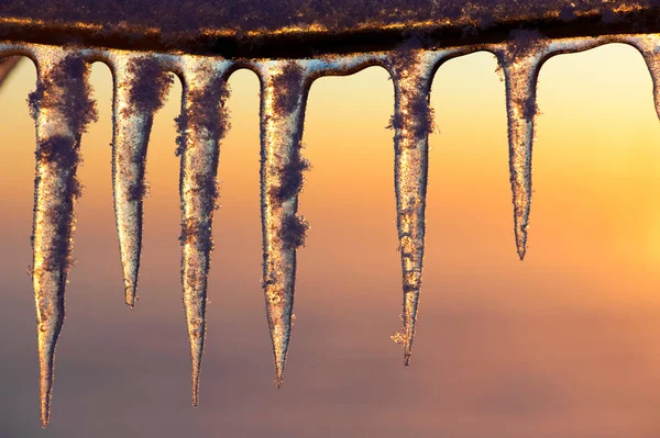 Ijspegels Verlicht Door Ondergaande Zon Selectieve Aandacht Ondiepe Scherptediepte — Stockfoto