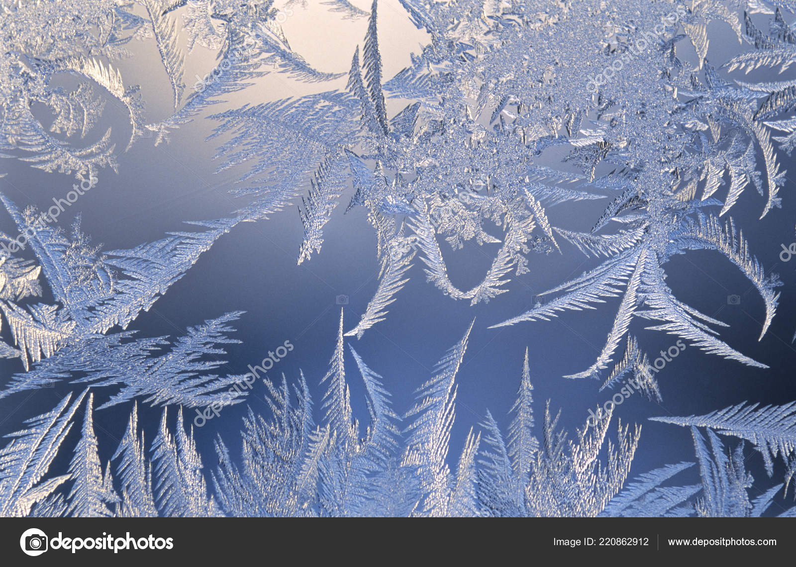 Ice Crystals Window Glass Stock Photo Image By C Makkis Ice Crystals Window Glass Stock Photo Image By C Makkis