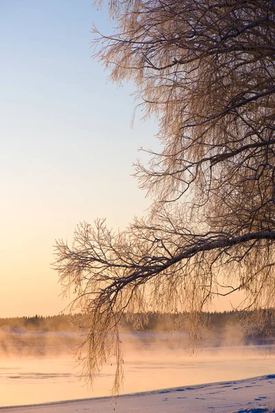 Frost Täcks Trädgrenar Och Dimma Över Frysning Flodvatten Kall Vinterdag — Stockfoto