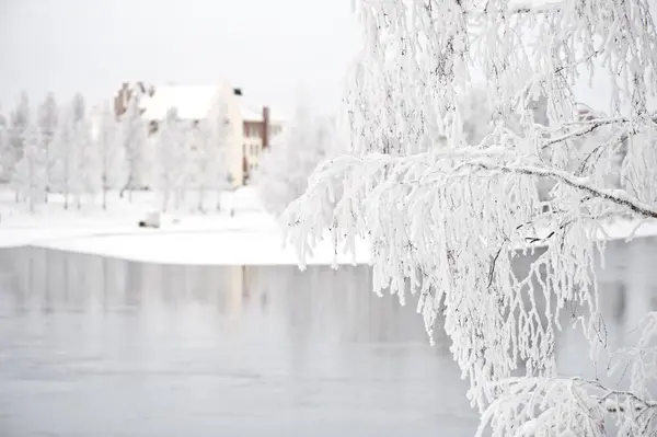 Zimní Krajina Mrazem Pokryta Stromy Staré Budově Břehu Řeky Selektivní — Stock fotografie