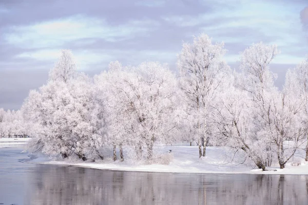 川の冬の風景を流れる 霜に覆われた木々 — ストック写真