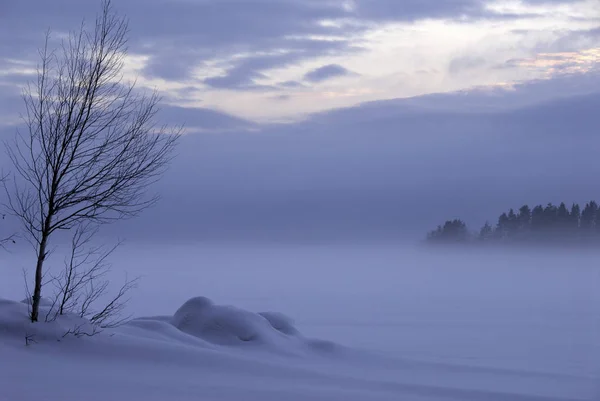 Vidoeiro Costa Lago Congelado Paisagem Inverno Finlândia Oriental — Fotografia de Stock