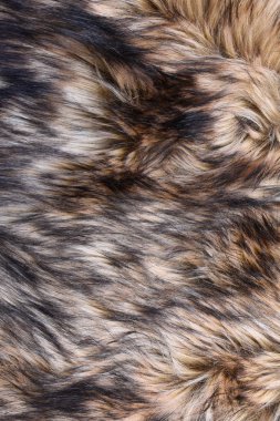 Kurt sahte kürk doku