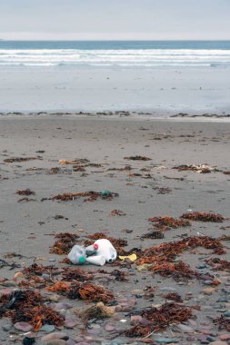 Arktik Okyanusu'nun ücra bir plajında plastik çöp