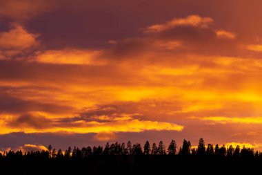Gün batımı gökyüzü ve orman siluetinin arkasındaki bulutlar