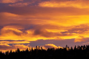 Gün batımı gökyüzü ve orman siluetinin arkasındaki bulutlar