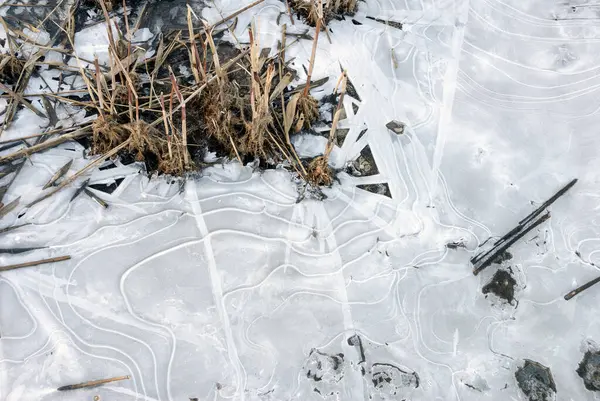 Detailní Záběr Zamrzlého Břehu Jezera Vzory Ledovém Povrchu — Stock fotografie