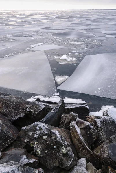 Congelación Orilla Del Lago Frío Día Invierno —  Fotos de Stock