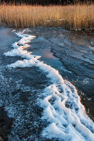 寒冷的冬日冰冻的湖滨 — 图库照片