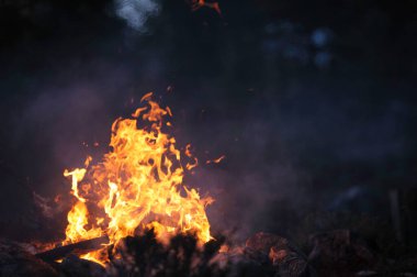 Karanlık bir akşamda yanan kamp ateşi