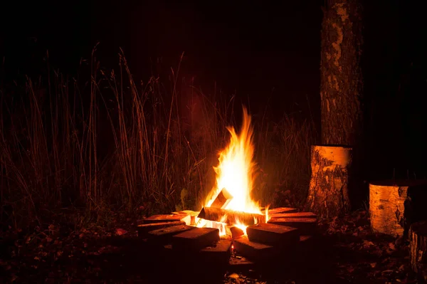 Burning Campfire Dark Evening — Stock Photo, Image