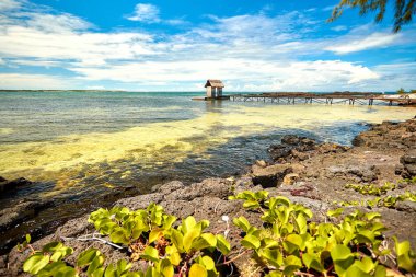belle mare plajı iskelesi, mauritius adası