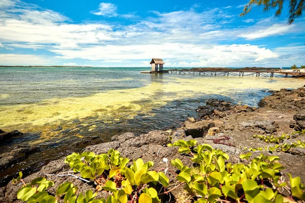 Móló Belle Mare Beach Mauritius Sziget — Stock Fotó