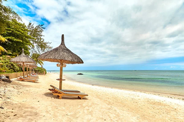 Leżak Plaży Pod Palmami Kokosowymi Pobliżu Tropikalnej Plaży — Zdjęcie stockowe