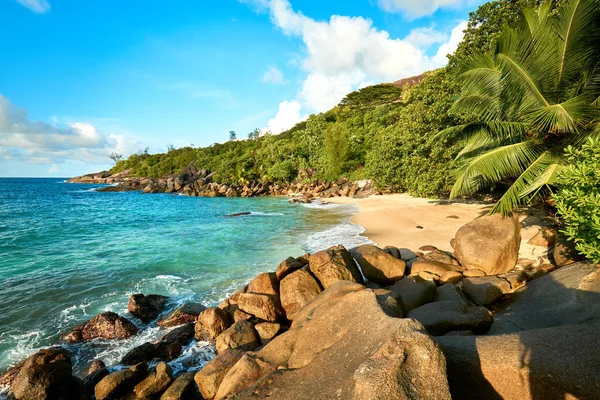 Anse, Velká pláž, mait, Seychely — Stock fotografie