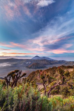 Bromo Mount Volcano, Indonesia clipart