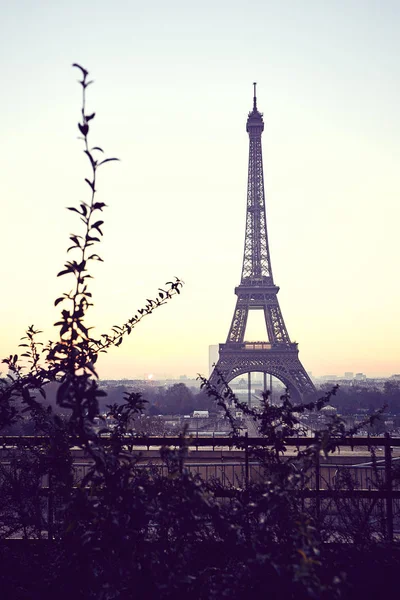 Vista Mattutina Della Torre Eiffel Dal Trocadero Con Colori Dell — Foto Stock