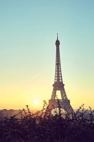 Torre Eiffel Durante Nascer Sol Trocadero — Fotografia de Stock