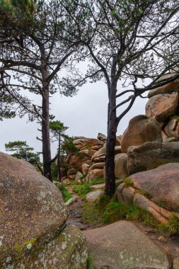 Pembe Granit Sahili, Ploumanach, Brittany, Fransa