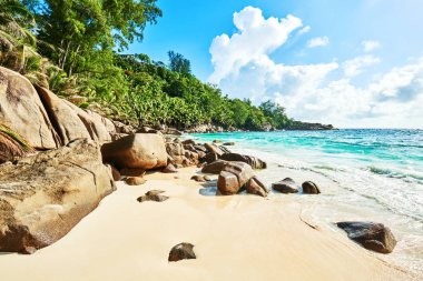 Anse niyet, tropikal plaj, Mahe, Seyşeller