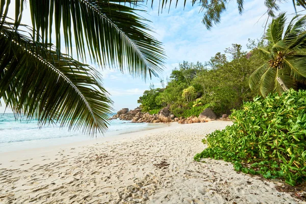 Paradisiac anse georgette beach in seychelles praslin island — Stock Photo, Image