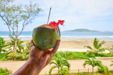 sahilde bir hindistan cevizi ile el