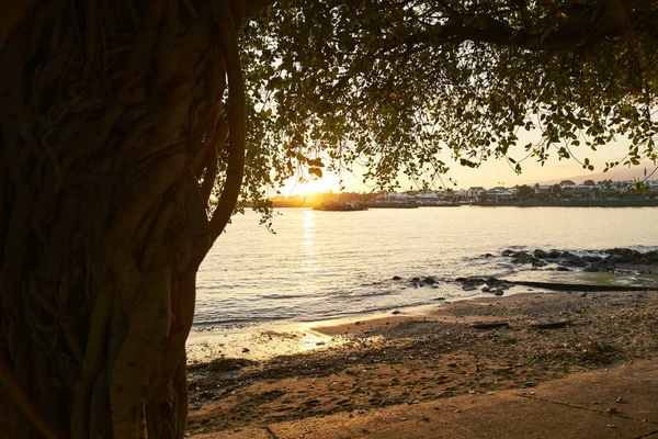 Puesta del sol Terre-Sainte, santo-pierre, isla de la reunión — Foto de Stock