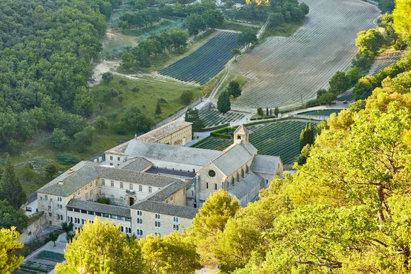 Senanque Abbey or Abbaye Notre-Dame de Senanque with lavender fi — стокове фото