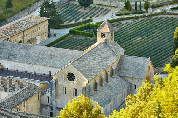 Senanque Abbey or Abbaye Notre-Dame de Senanque with lavender fi — стокове фото