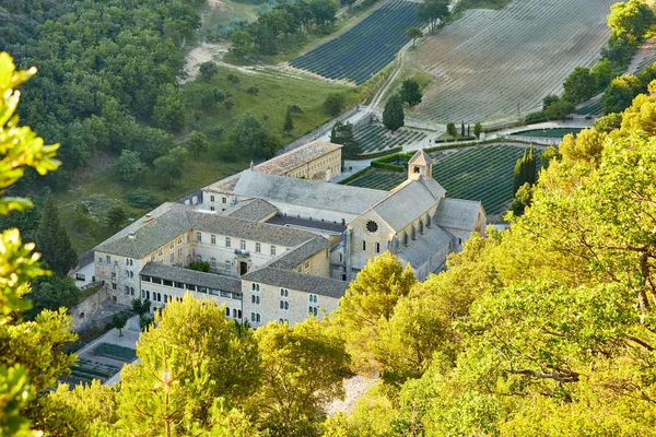 Senanque Abbey or Abbaye Notre-Dame de Senanque with lavender fi — стокове фото