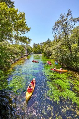 Fontaine de Vaucluse'daki Sorgue Nehri'nde kayaklar. Vaucluse, Provence, Fransa, Avrupa